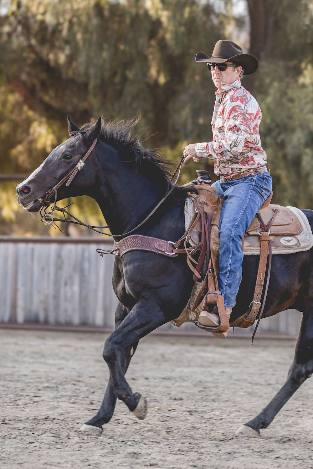 Top - Sheridan Men's Shirt