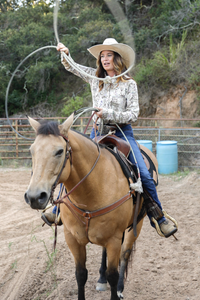 Top - Cheyenne Western Shirt