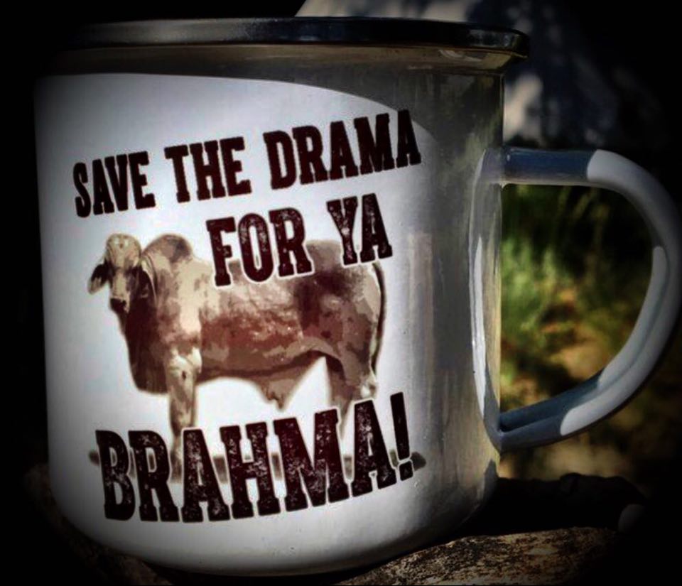 Ranchin' Coffee Mugs